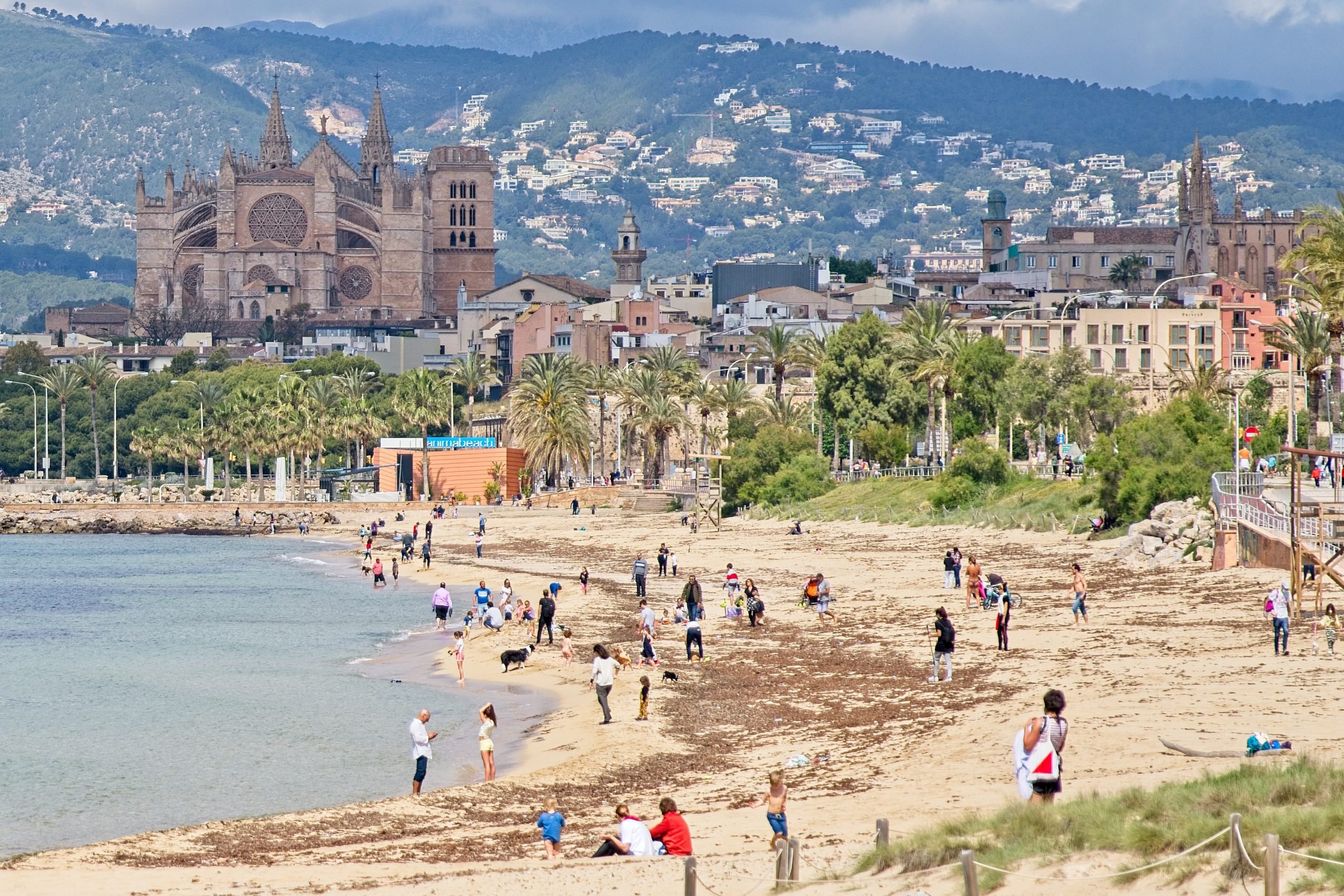 palma de mallorca