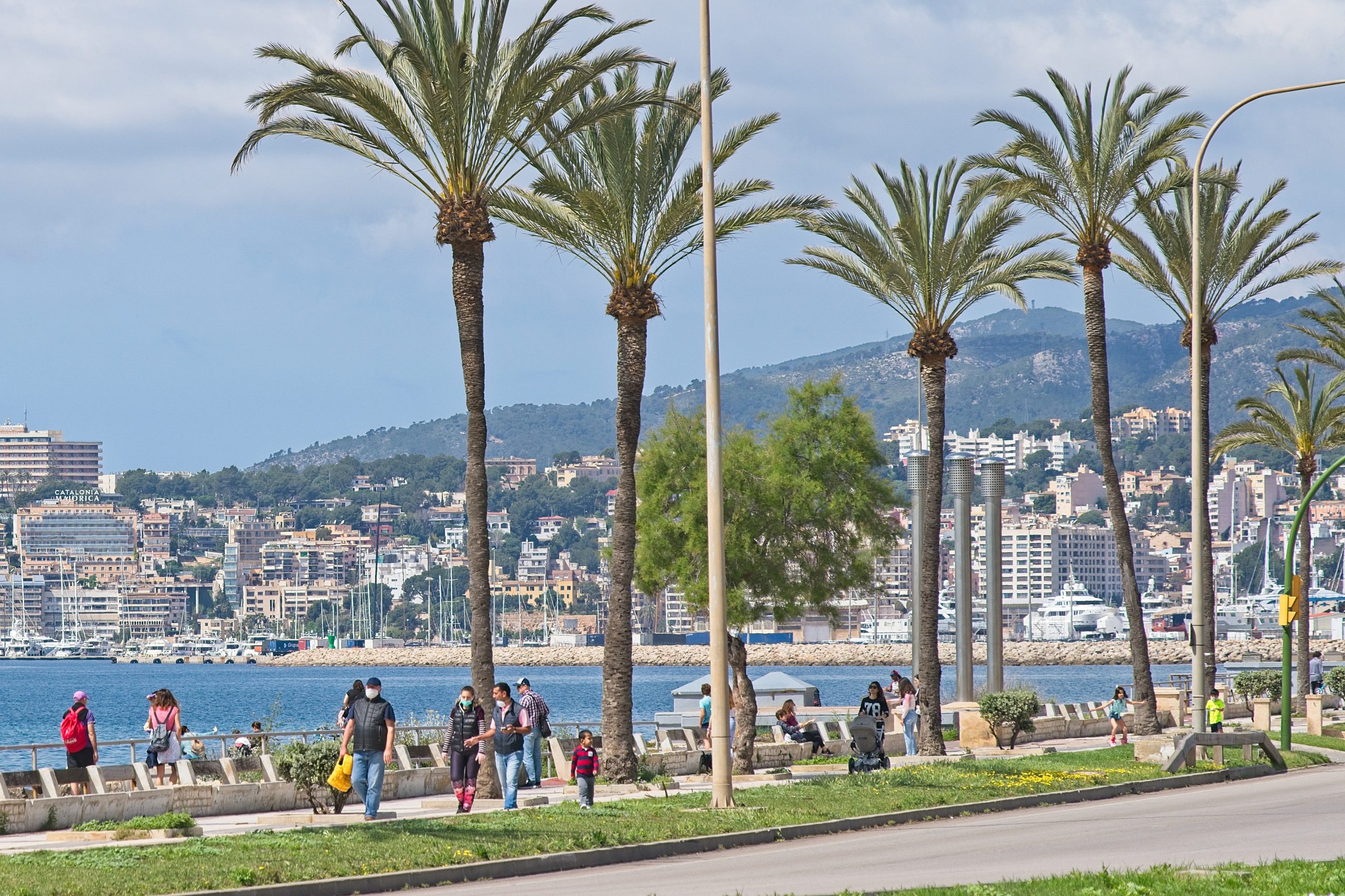 palma de mallorca