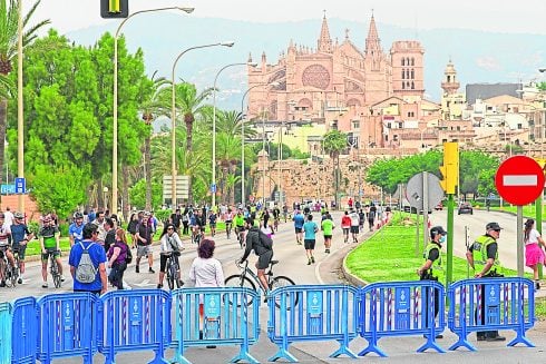 Palma New