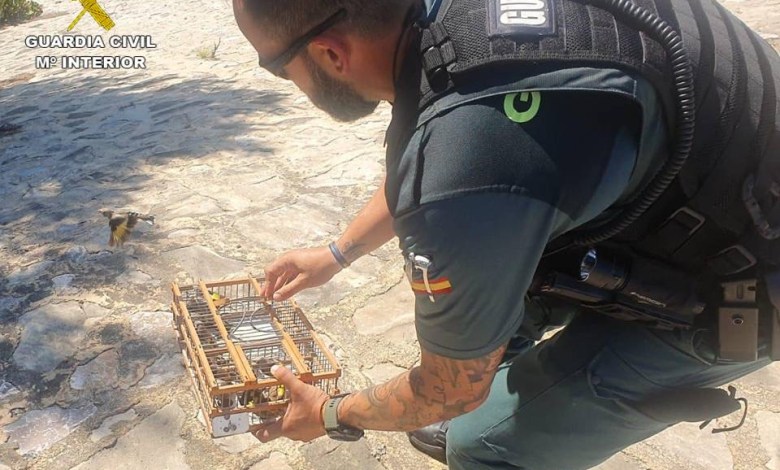 Goldfinches See Freedom On Costa Blanca After Illegal Trappers Get Arrested