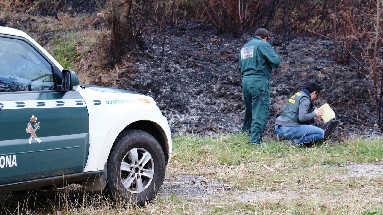 Guardia Civil Seprona