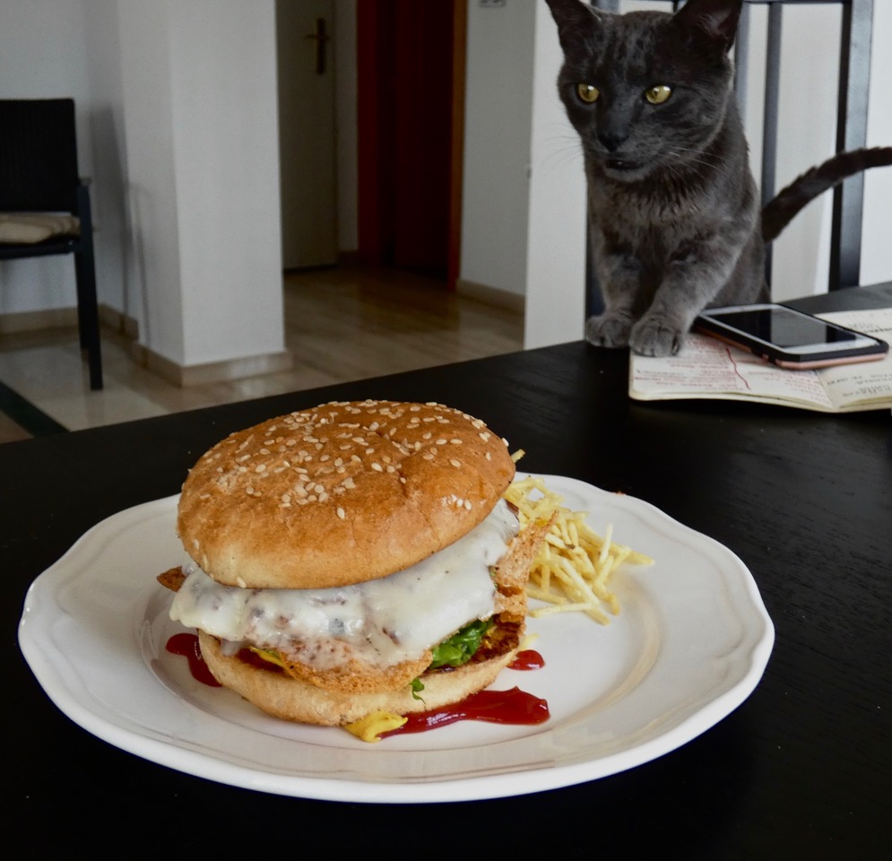 Hamburger Cat