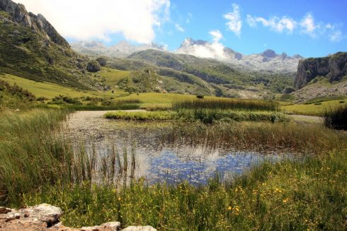 Green Spain Landscape Mountains Asturias Lake