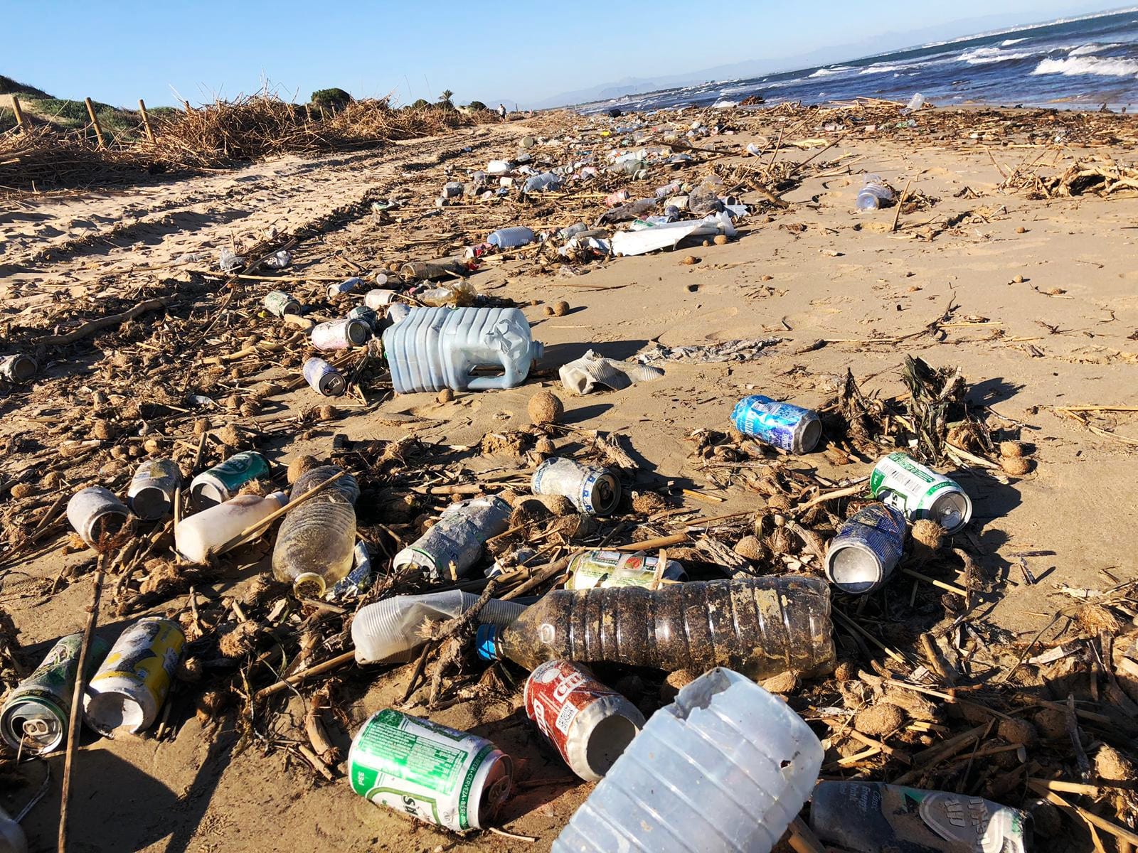 Pollution Beaches