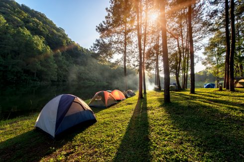 Adventures Camping And Tent Under The Pine Forest Near Water Outdoor In Morning And Sunset At Pang Ung  Pine Forest Park