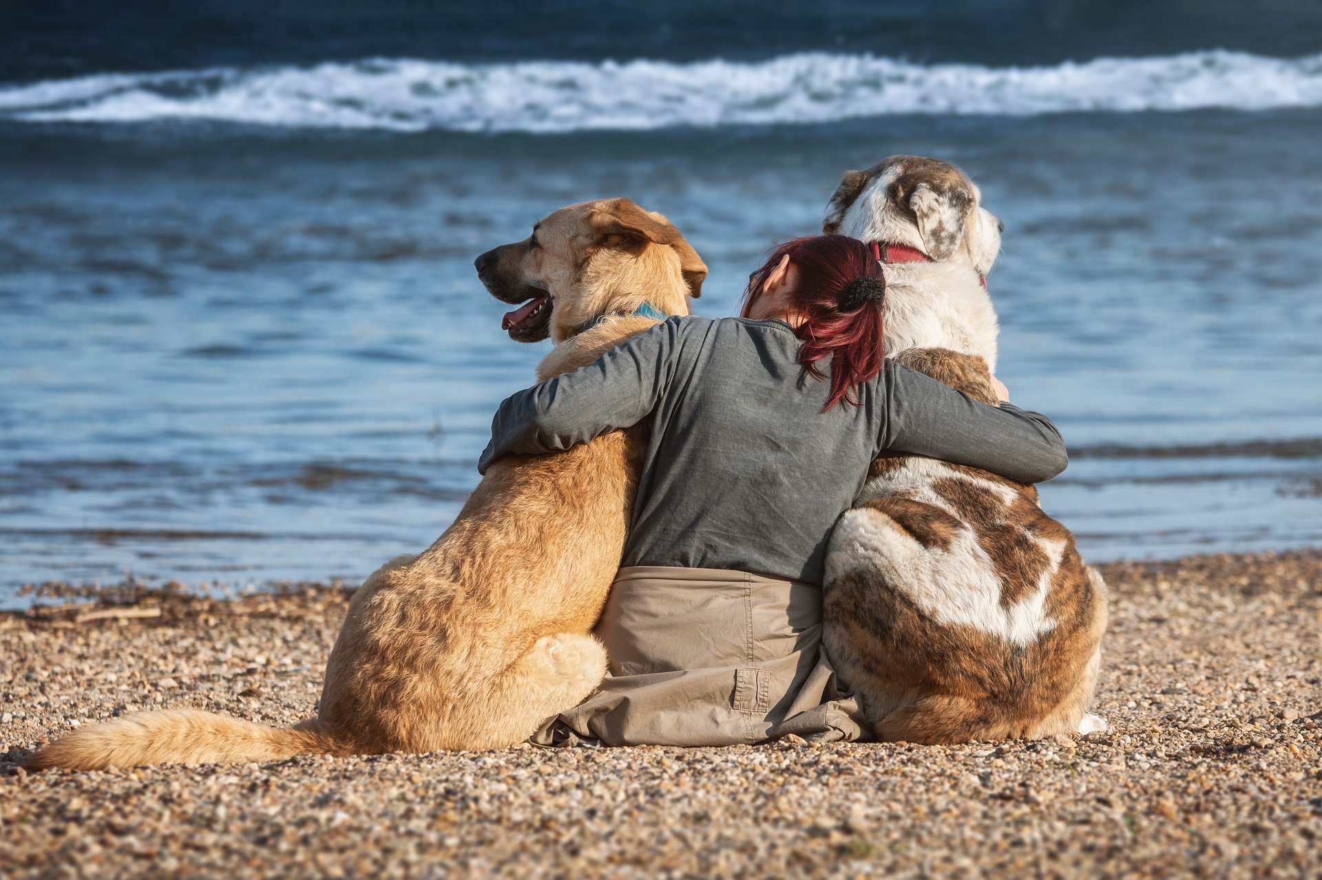 Dog Friendly Beaches In Southern Spain