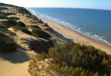 SECRET SPAIN: These are the best hidden beaches to visit this summer Donana