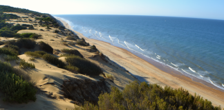 SECRET SPAIN: These are the best hidden beaches to visit this summer Donana