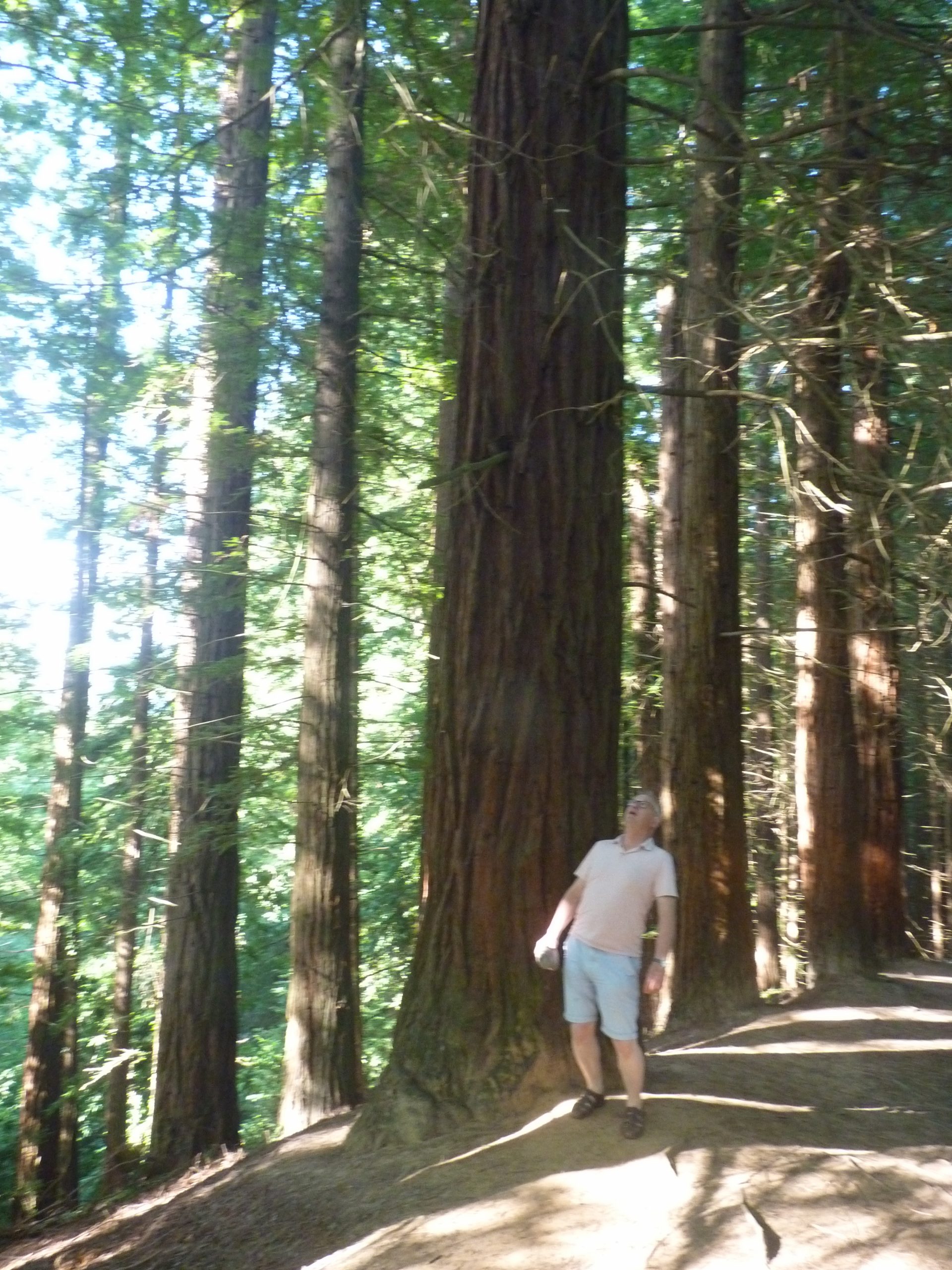 Cantabria Can 13th July Olive Press News Spain