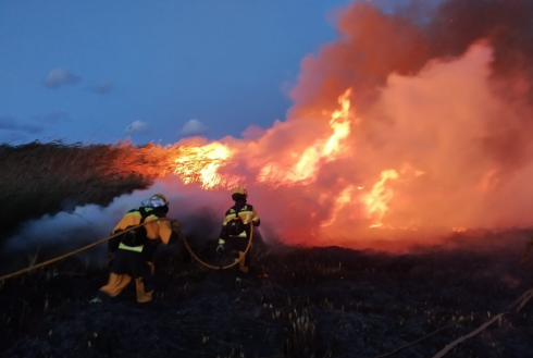 forest fire mallorca