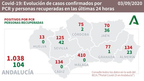 Andalucia Cases
