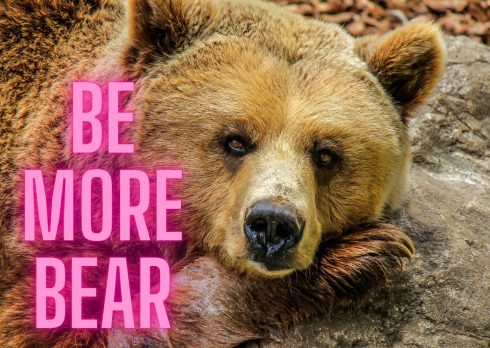 Be More Bear