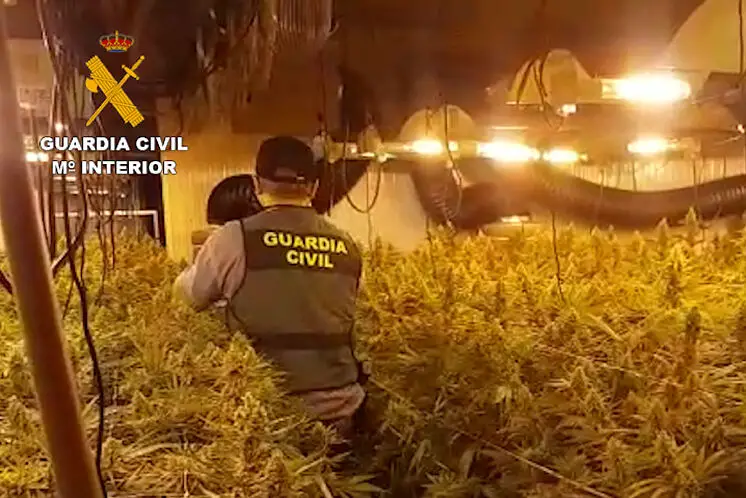 Old Hotel Is Converted Into Massive Marijuana Farm On Spain S Costa Blanca