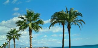 BATHING: How clean is the sea water off Andalucia’s beaches? Playa_de_la_rada_ _estepona_beach