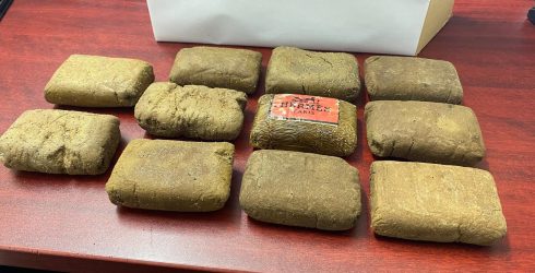 Pr 95   Drugs Seizure