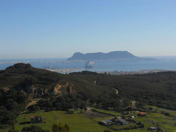 Gibraltar Campo