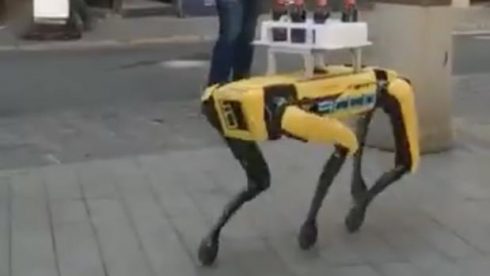 Robot Server Dog