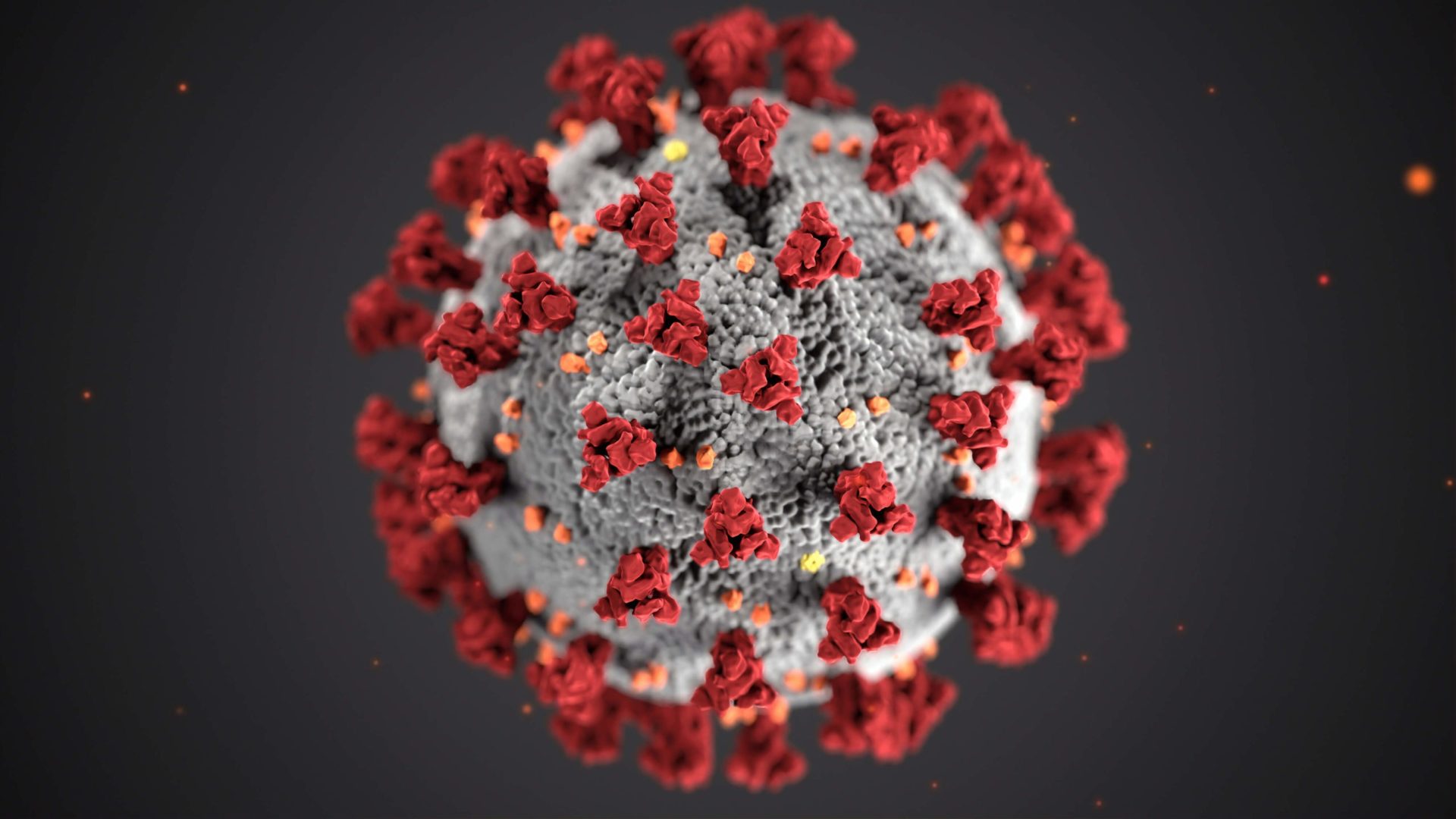 Coronavirus Scaled
