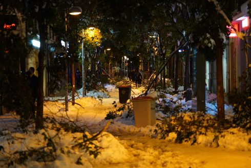 The Historic Snowfall Of The Storm Filomena Has Trapped Thousands Of Drivers On The Roads Of Madrid  The Madrid 112 Emergency And Security Agency Has Indicated That During The Early Hours Of This Saturday About 1 000 Vehicles Have Been Released  Some Trees