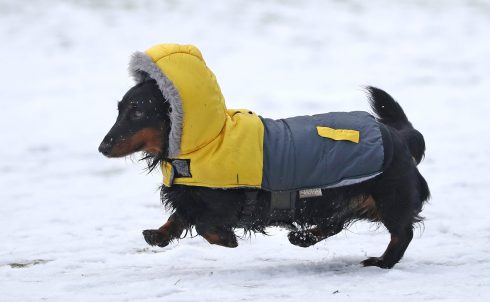 Weather alerts for freezing temperatures continue in Spain’s Andalucia