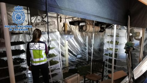 Fleeing Marijuana Farm Owner Attacks Police After Hiding In Chemist On Spain S Costa Blanca