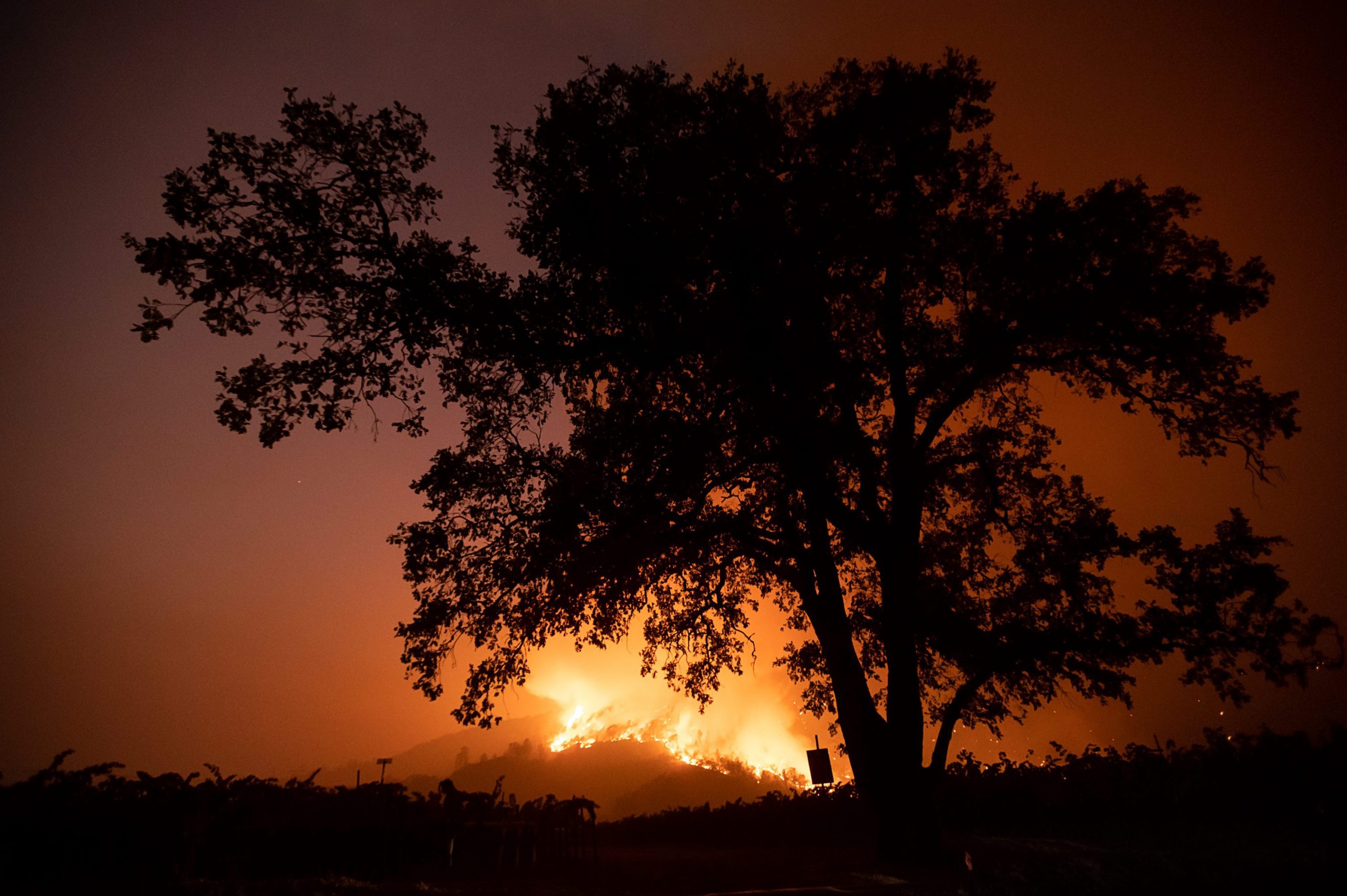 Forest fires are a constant threat in the Valencia region