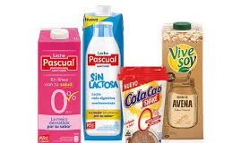 Cutting dairy: Job losses ahead for 137 Pascual workers in Spain Download