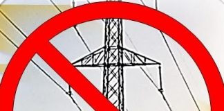 OPINION: The plans to erect electricity pylons in Benahavis are nothing short of an ecological crime 130851459 106609461318094 3653754146583723489 N