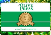 Alex Trelinski looks back on a change for the better 15yearstheolivepress