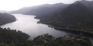 Getting a grip: Accused of faking COVID is a low blow – even for Marbella! Giles Lake