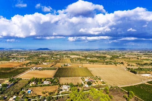 Farming Fields