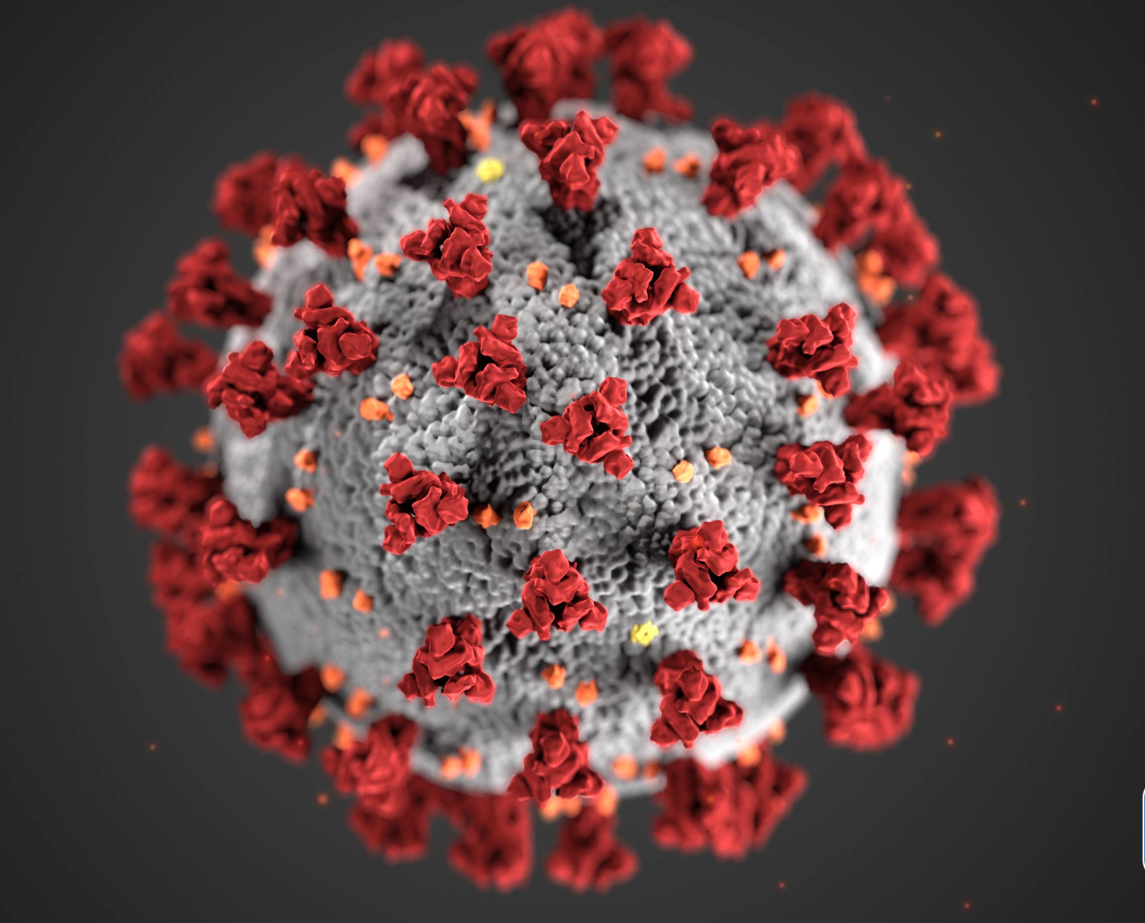 Covid 19: Novel Coronavirus Covid 19 Virus Under The Microscope