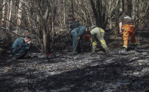 Pyromaniac Turned Firefighter Lit Up A Forest Blaze In Spain's Cantabria Region