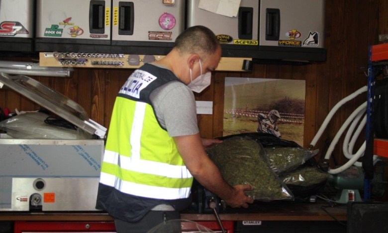 Weeded Out As Police Raid British Owned Marijuana Farm In Murcia Region Of Spain