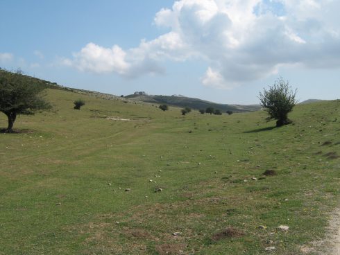 Urbasa5