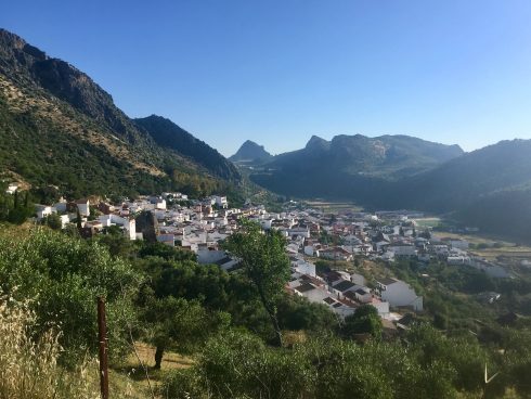 Benaojan