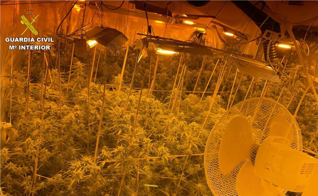 Hotel Owner On Spain's Costa Blanca Ran A Marijuana Farm Out Of The Basement