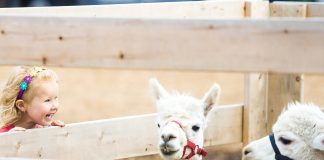 DOWN ON THE FARM: Plans underway to launch first ‘open farms’ day in Spain’s Valencia region to promote sustainable and local production Open Farms 2