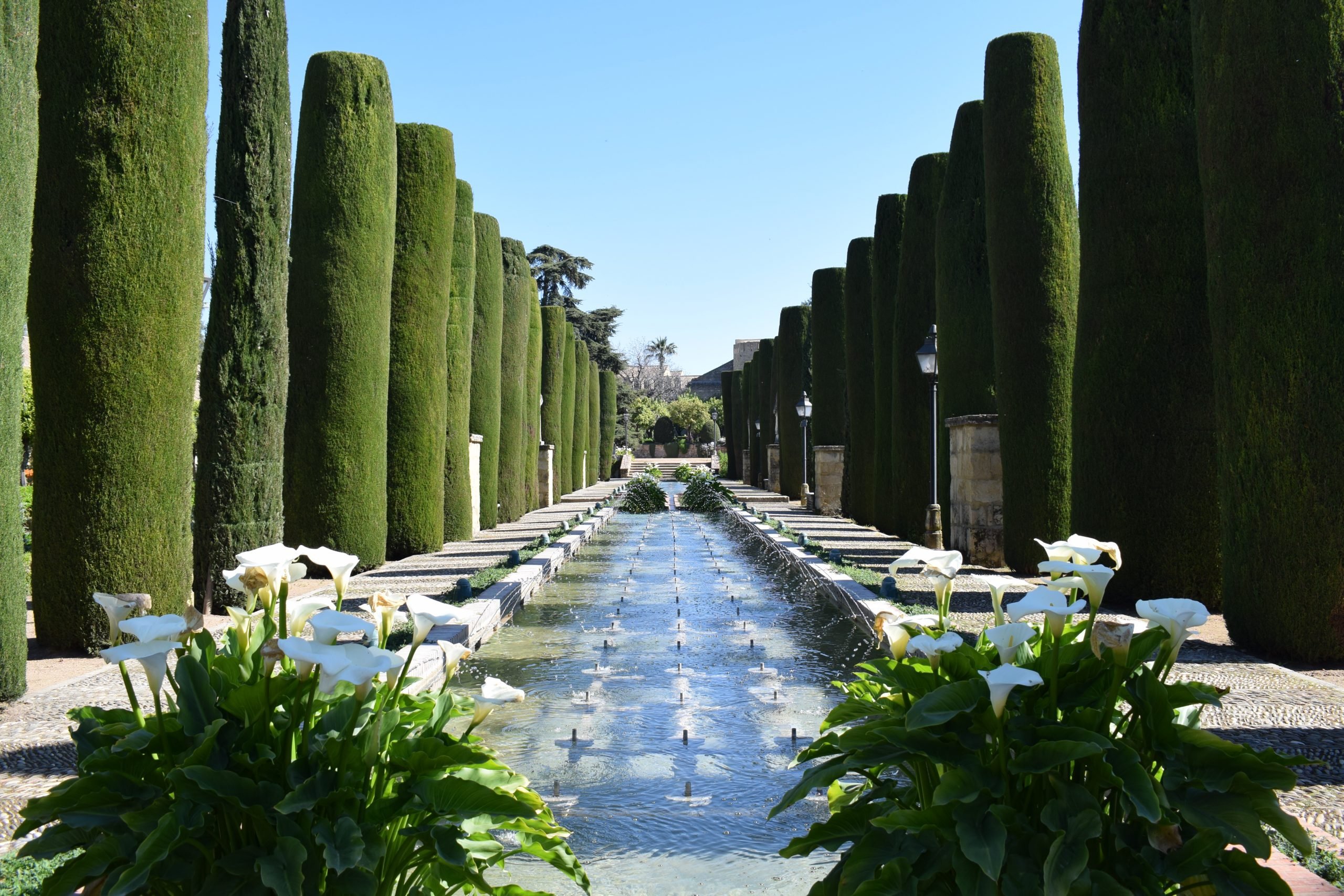 Promenade Of Kings In Garden