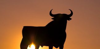 Spain’s iconic Osborne bull gets a redesign to mark anniversary 2311310078 A41f6857ca C