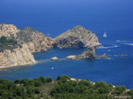 WET-SUITED BODY discovered yesterday off the Costa Blanca in Spain is female and not male Wet Suited Body Discovered Yesterday Off The Costa Blanca In Spain Is Female And Not Male