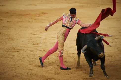 Bullfighting