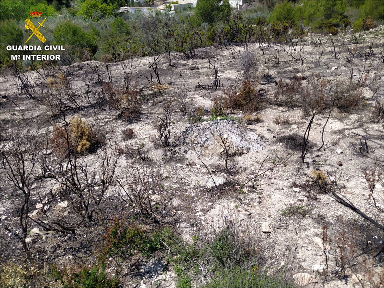 Dutch Expat Accused Of Starting Two Hectare Forest Fire On The Costa Blanca In Spain