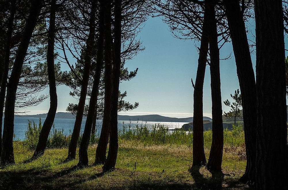 green galicia by turismo.gal