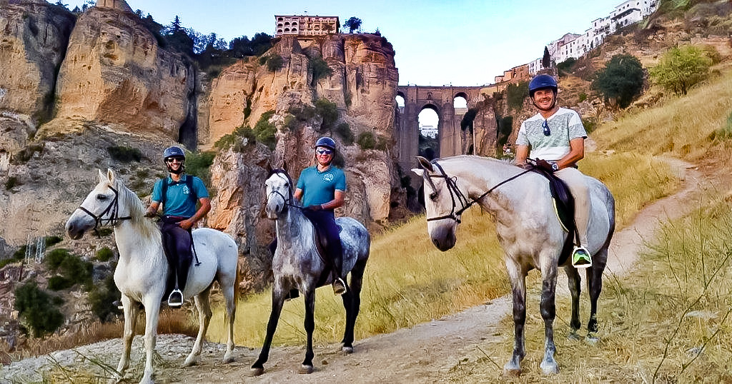 horses ronda paddock paradise