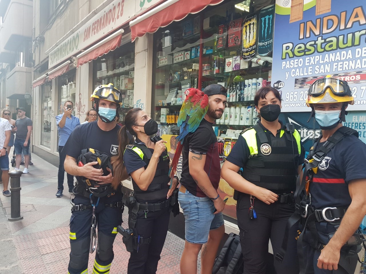 Who's a pretty boy then? Alicante firefighters in Spain rescue a parrot perched on a ledge