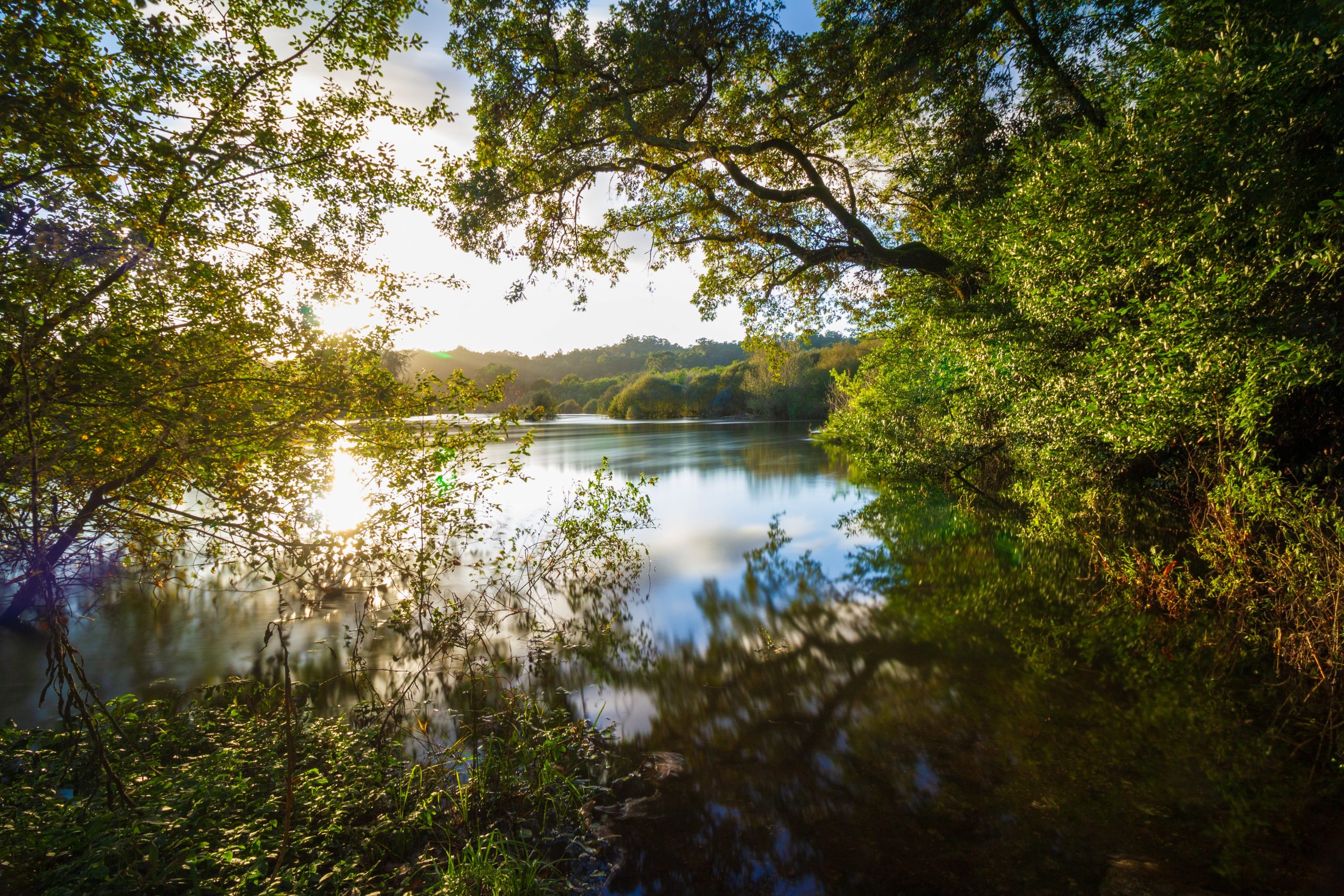 Río Miño, Alejandro Pinero Amerio (unsplash)[1]