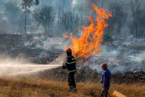 Castellon forest fire