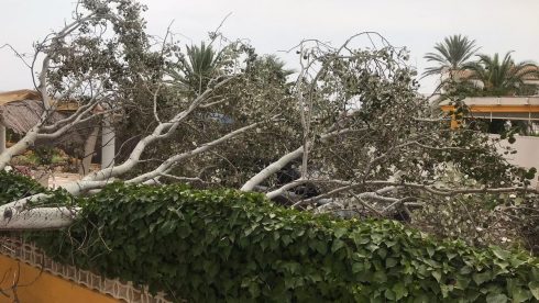 Mini Hurricane Causes Beach Havoc And Brings Down Trees In Denia Area Of Spain's Costa Blanca