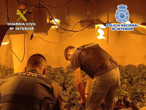 Belgians Bagged For Drug Growning And Dealing In Big Expat Residential Area Of The Costa Blanca In Spain